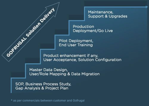 Solution delivery process