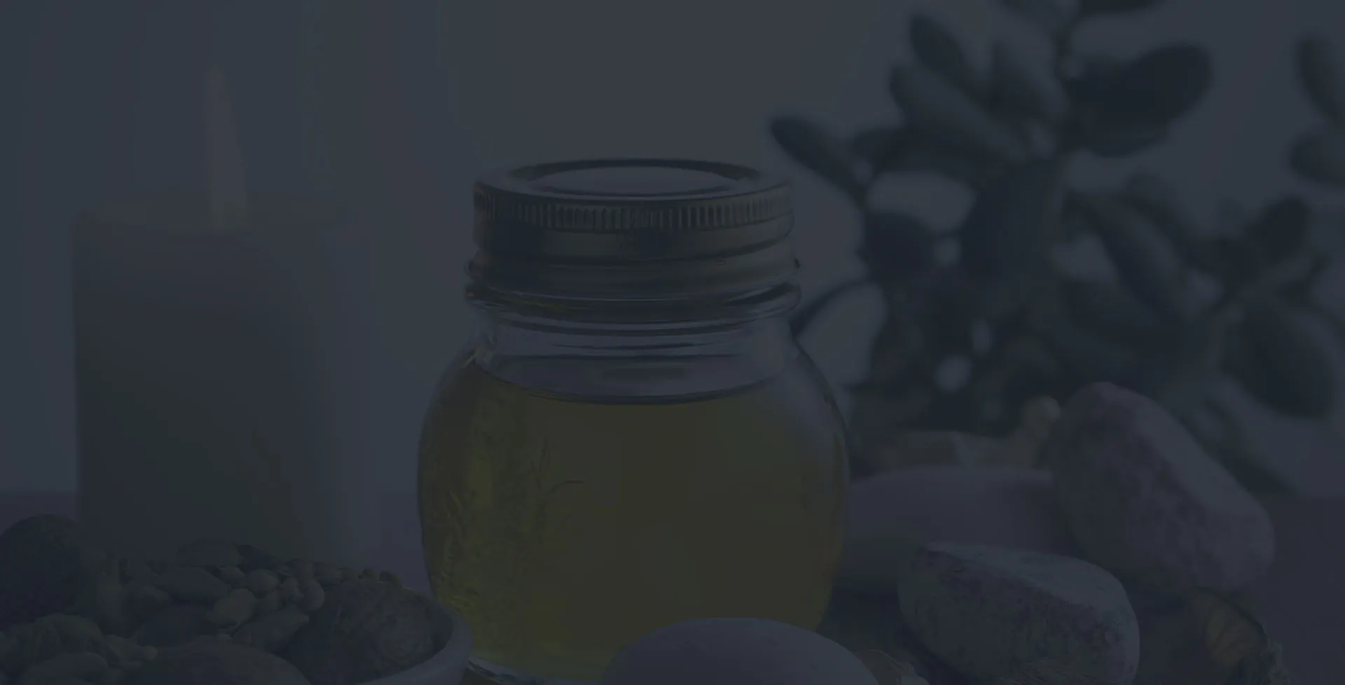 Pharma POS software download