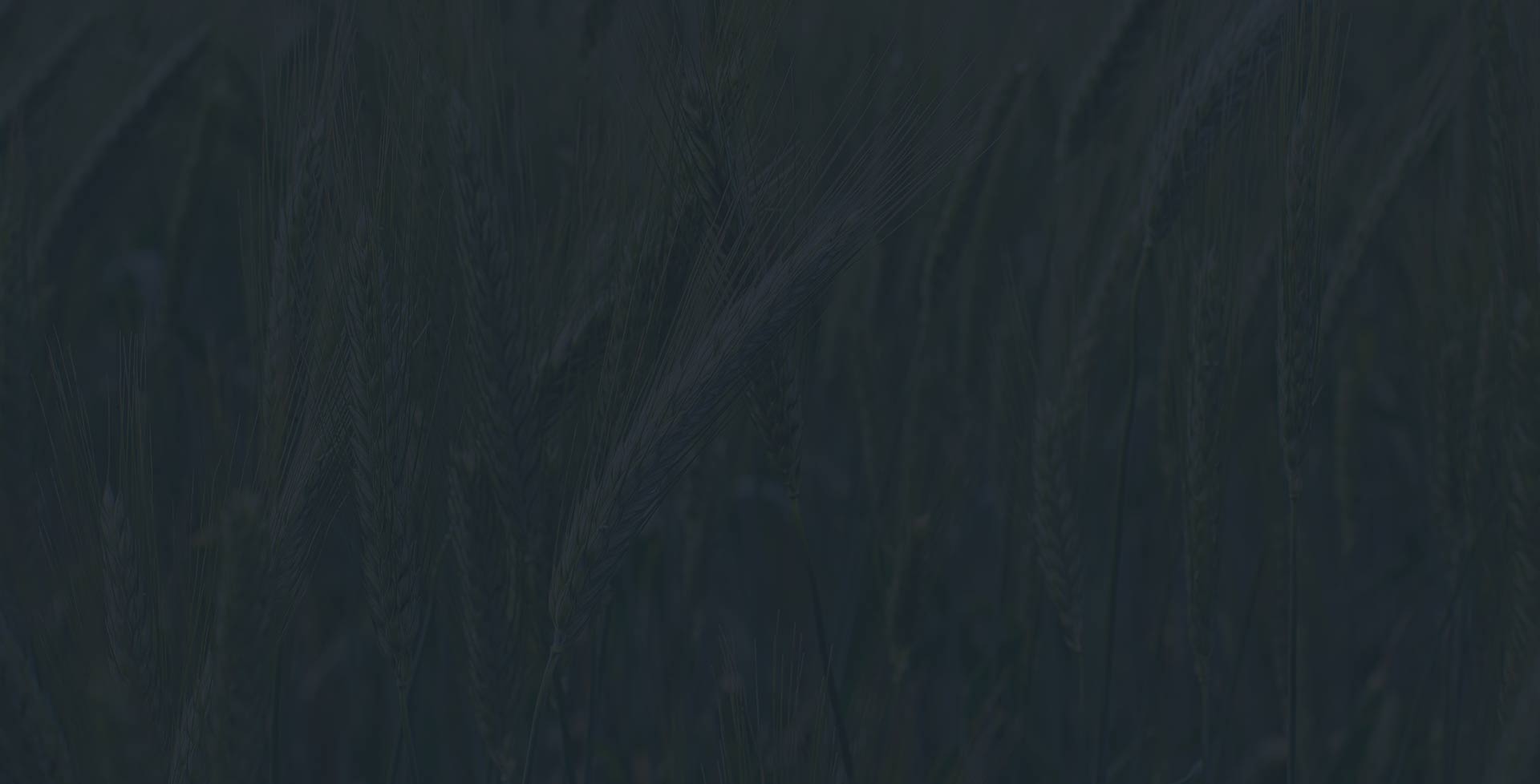 Specialized retail POS software download